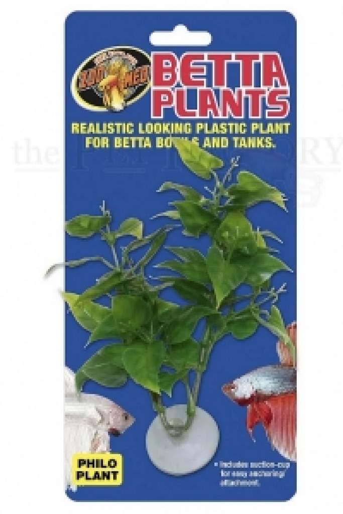 Betta Plant
